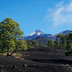 Tenerife